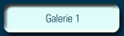Galerie 1