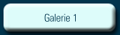 Galerie 1
